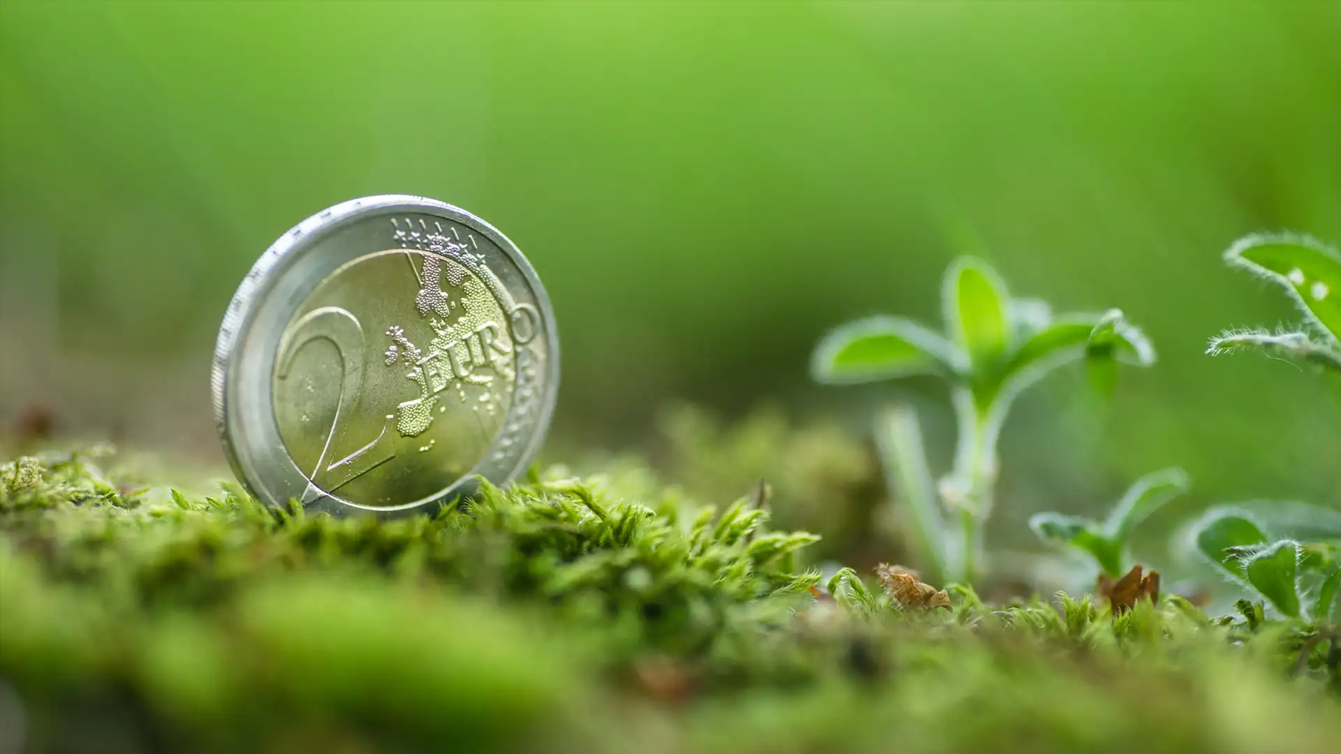 Sustainability-Linked Loans – Nachhaltige Finanzierung im Mittelstand