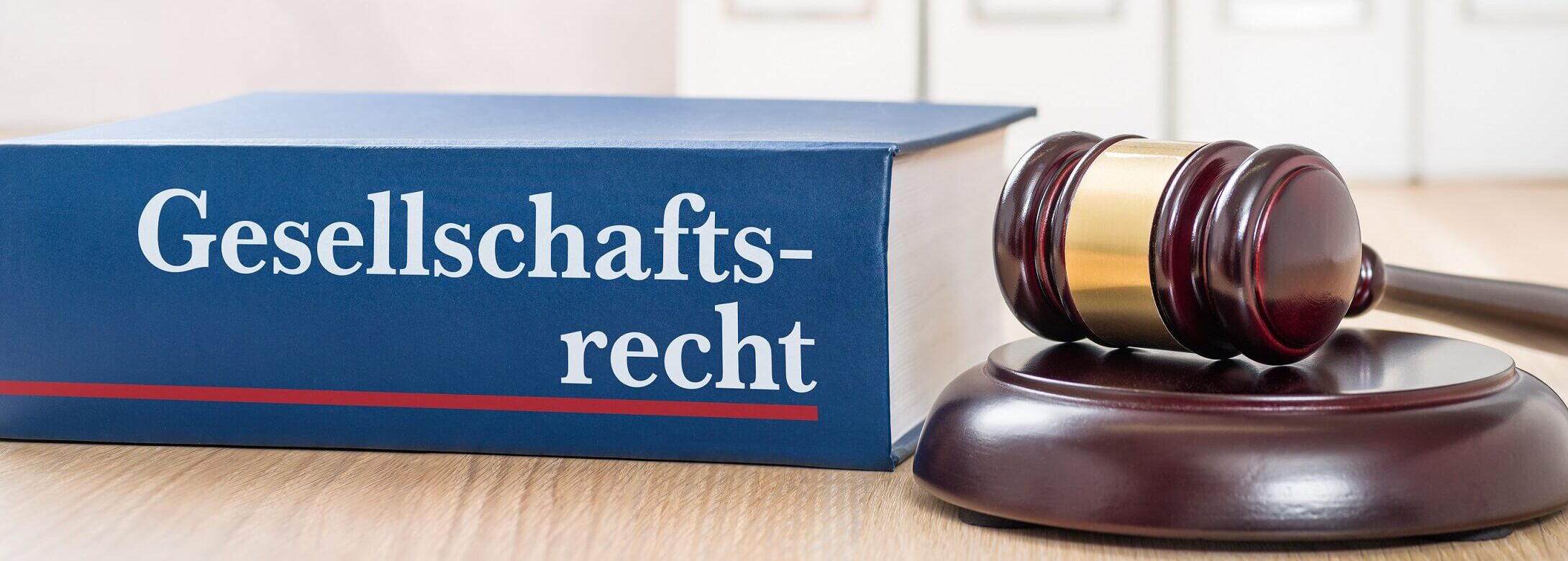 GmgV als neue Rechtsform